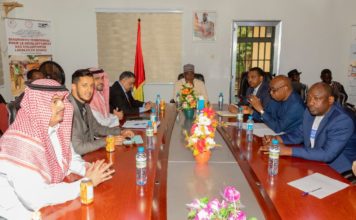 LE PREMIER MINISTRE REÇOIT À KINDIA UNE MISSION DU FONDS SAOUDIEN DE DÉVELOPPEMENT