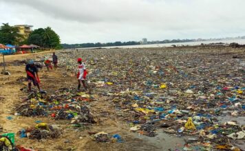 Guinée : Les Ordures Envahissent La Plage De Rogbanet, L’Etat Interpellé
