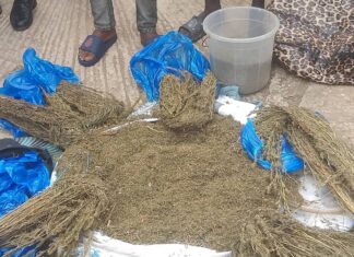 Boké : Le Groupement de la Gendarmerie routière présente 478,05 kg du chanvre indien