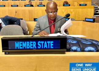 USA: le Ministre Yaya Kairaba KABA au quinzième anniversaire de la Résolution 1888 de l’ONU