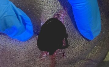 Matam : Seydou Touré met fin à la vie de son père qui l’accusait de lui avoir volé son téléphone