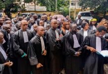 Urgent / Les Magistrats de Guinée appelés aux urnes ce jeudi 12 juin (Communiqué)