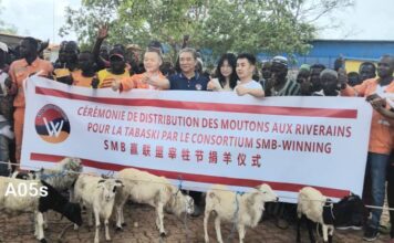 Vers Tabaski: Le Consortium SMB-WINNING distribue 303 moutons aux communautés de 275 villages de Boké et Télimélé