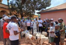 Tabaski: La Société UMS fait don de moutons aux imams de la préfecture de Boké