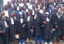Vacances judiciaires : l’Ordre des avocats de Guinée dévoile la durée de cette période d’un mois