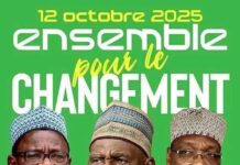 L’UNION NATIONALE POUR LA DÉMOCRATIE ET LE PROGRÈS (UNDP) CONDAMNE LE REJET DE LA CANDIDATURE DE MAURICE KAMTO PAR LE CONSEIL CONSTITUTIONNEL