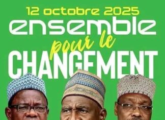 L’UNION NATIONALE POUR LA DÉMOCRATIE ET LE PROGRÈS (UNDP) CONDAMNE LE REJET DE LA CANDIDATURE DE MAURICE KAMTO PAR LE CONSEIL CONSTITUTIONNEL