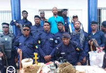 Boffa : 13 interpellations et plus de 1 000 boules de chanvre indien saisies dans une opération anti-drogue