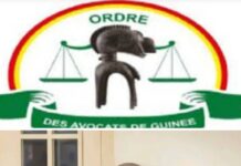 L’Ordre des Avocats de Guinée met en garde contre les déclarations de Bernard Gomou