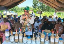 Boké: Les techniciens du Projet Africa Rice forment les producteurs sur l’utilisation des semences de qualité