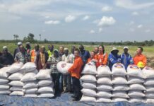 Boké-Agriculture: Le Consortium SMB-Winning célèbre la réussite de la culture du riz de 100ha sur la plaine agricole d’Amarayah