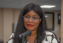 Vœux de Nouvel An 2026 : Madame la Présidente de la Chambre nationale des notaires salue la solidarité judiciaire