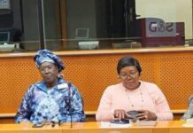 Sécurité maritime dans le Golfe de Guinée : Aissata Aribot porte la voix de la Guinée à Bruxelles