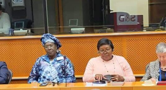 Sécurité maritime dans le Golfe de Guinée : Aissata Aribot porte la voix de la Guinée à Bruxelles