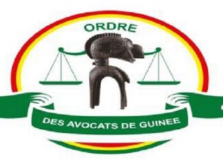 Guinée : le Barreau annonce l’organisation du concours du CAPA avant août 2026 ( communiqué)