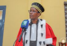 Urgent, Injures en ligne et infractions présumées : deux femmes interpellées, une enquête ouverte à Conakry