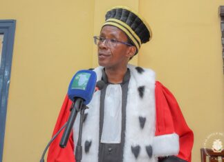 Urgent, Injures en ligne et infractions présumées : deux femmes interpellées, une enquête ouverte à Conakry