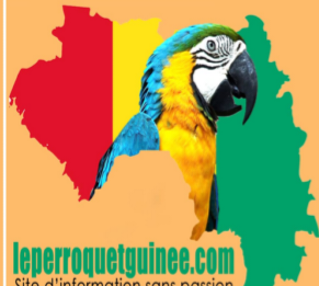 Journée internationale des droits des femmes : leperroquetguinee.com adresse ses vœux aux femmes de Guinée et du monde