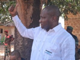 Boké/Kaboyé : le procureur annonce l’arrêt des opérations de cueillette de noix de cajou sur la colline de Konkèkan