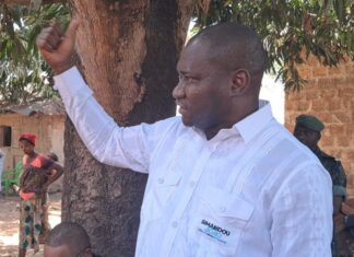 Boké/Kaboyé : le procureur annonce l’arrêt des opérations de cueillette de noix de cajou sur la colline de Konkèkan