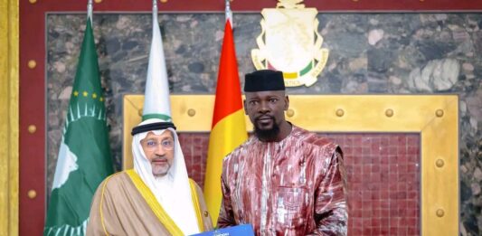 Simandou 2040 : la Guinée consolide ses partenariats avec les institutions financières internationales