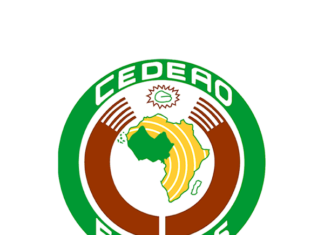 Hantavirus : la CEDEAO alerte après des cas groupés mortels sur un navire de croisière au large du Cap-Vert