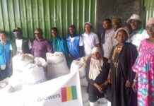 Boké-Agriculture: L’ONG Sud-Coréenne accompagne les producteurs de quatre (4) de la CR de Tanènè en Semence du riz tongile et en engrais NPK triple 15