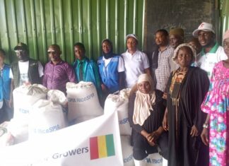 Boké-Agriculture: L’ONG Sud-Coréenne accompagne les producteurs de quatre (4) de la CR de Tanènè en Semence du riz tongile et en engrais NPK triple 15