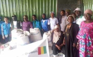 Boké-Agriculture: L’ONG Sud-Coréenne accompagne les producteurs de quatre (4) de la CR de Tanènè en Semence du riz tongile et en engrais NPK triple 15