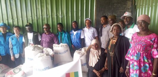 Boké-Agriculture: L’ONG Sud-Coréenne accompagne les producteurs de quatre (4) de la CR de Tanènè en Semence du riz tongile et en engrais NPK triple 15