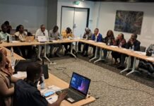 Vers les législatives et communales du 31 mai 2026 : le CJID forme 20 journalistes à la lutte contre la désinformation en période électorale en Guinée