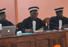 Contentieux électoral à Boké : l’ARP et l’UDG obtiennent gain de cause devant le Tribunal de première instance