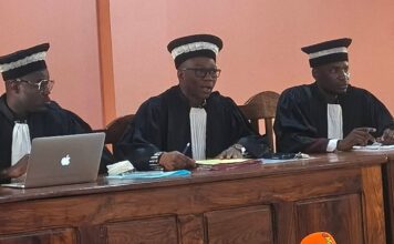 Contentieux électoral à Boké : l’ARP et l’UDG obtiennent gain de cause devant le Tribunal de première instance