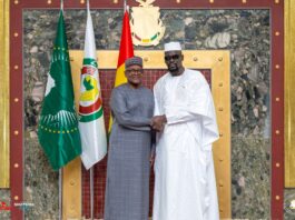 Conakry : le Président Mamadi Doumbouya reçoit à nouveau Aliko Dangote pour renforcer la coopération économique