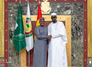 Conakry : le Président Mamadi Doumbouya reçoit à nouveau Aliko Dangote pour renforcer la coopération économique