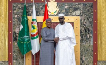 Conakry : le Président Mamadi Doumbouya reçoit à nouveau Aliko Dangote pour renforcer la coopération économique