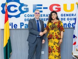 Innovation : le Patronat guinéen mobilisé autour du futur Pôle d’Innovation du corridor minier de Simandou