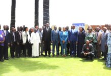 Gestion durable des forêts : la CEDEAO valide à Conakry le Plan de convergence forestière 2026-2035