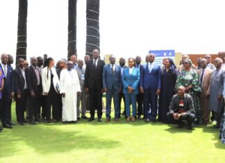 Gestion durable des forêts : la CEDEAO valide à Conakry le Plan de convergence forestière 2026-2035
