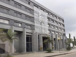 Guinée : la Banque centrale met en garde contre les investissements frauduleux liés aux crypto-actifs