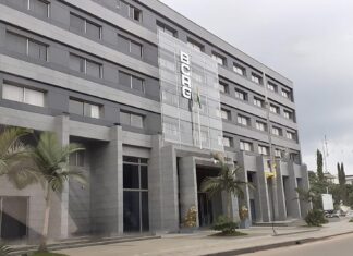 Guinée : la Banque centrale met en garde contre les investissements frauduleux liés aux crypto-actifs