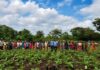 Boffa : à Yembering, Chalco Guinea Company S.A. renforce son appui aux coopératives féminines