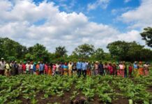 Boffa : à Yembering, Chalco Guinea Company S.A. renforce son appui aux coopératives féminines