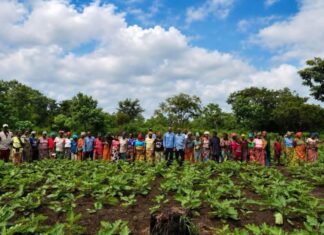 Boffa : à Yembering, Chalco Guinea Company S.A. renforce son appui aux coopératives féminines