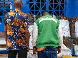 Kindia : 178,5 kg de chanvre indien saisis à Filigbé, deux suspects présentés à la presse
