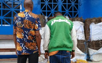Kindia : 178,5 kg de chanvre indien saisis à Filigbé, deux suspects présentés à la presse