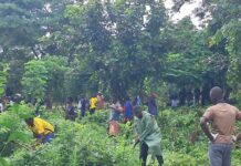 Boké-Salikènè : des religieux et des jeunes volontaires assainissent le cimetière de Dianwalia