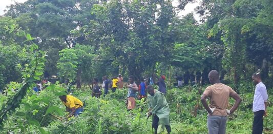 Boké-Salikènè : des religieux et des jeunes volontaires assainissent le cimetière de Dianwalia