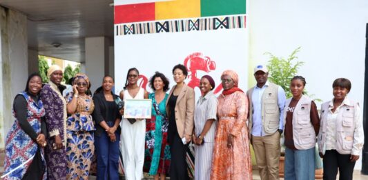 REDIR VBG : la deuxième session du Comité de pilotage met l’accent sur le renforcement de la coordination