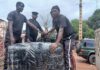Kindia : plus de 150 kg de chanvre indien saisis lors d’un contrôle routier